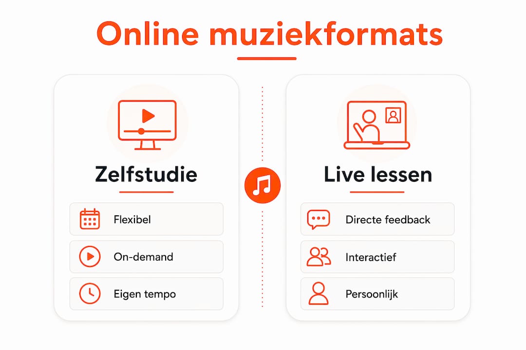Overzichtelijke infographic waarin verschillende online muziekplatforms met elkaar worden vergeleken