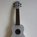 Ukelele cursus