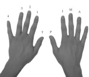Fingerpicking voor gitaristen
